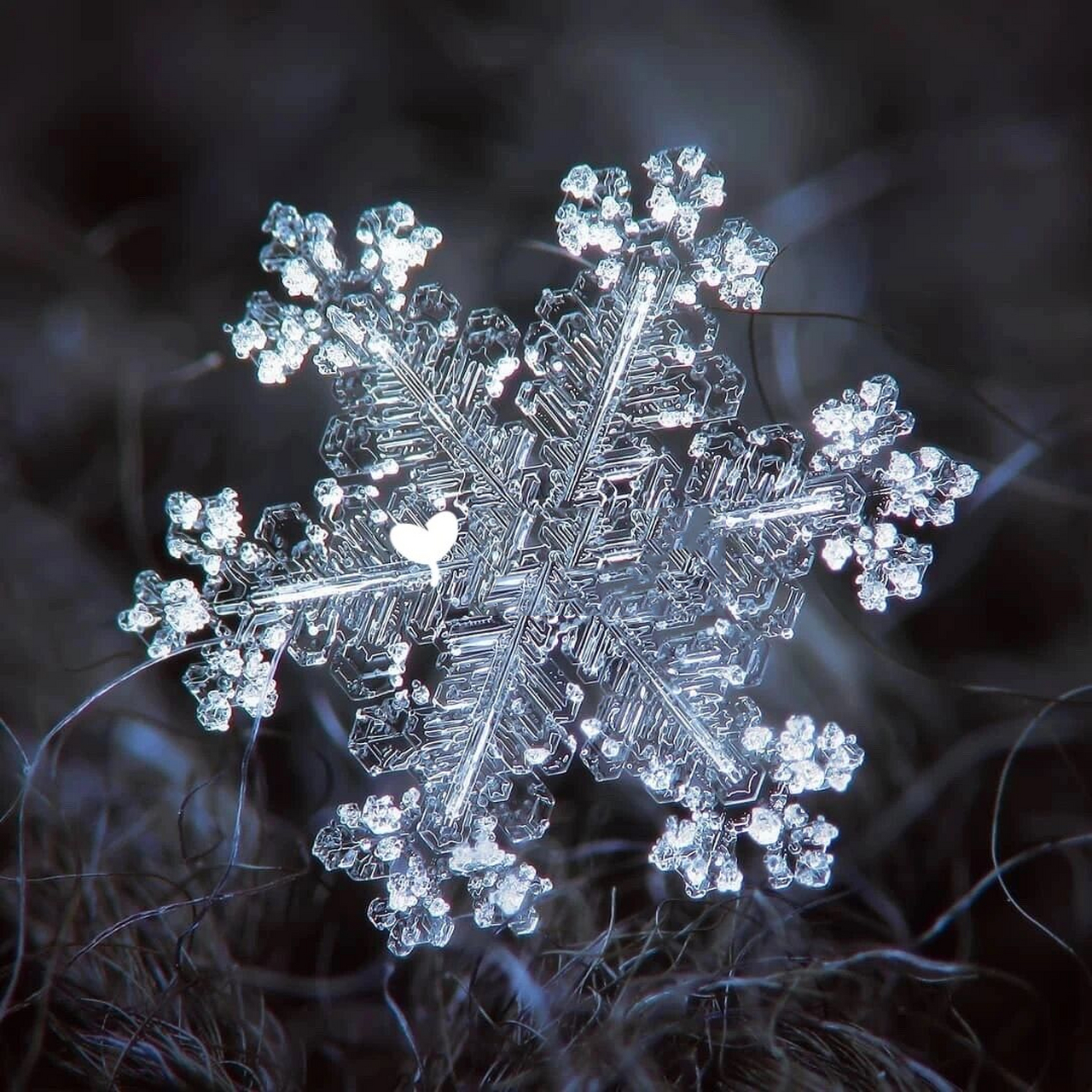 漂亮雪花图片