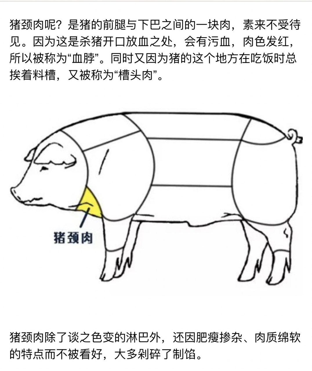 猪颈肉和二层肉的区别图片