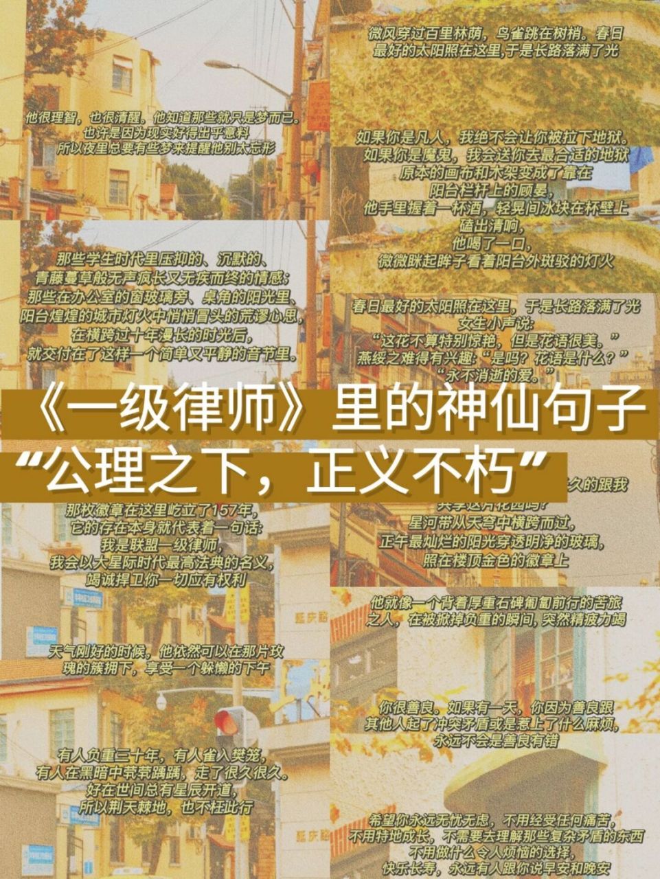 今天我特意整理了《一级律师》里面的经典句子,我也是非常喜欢的