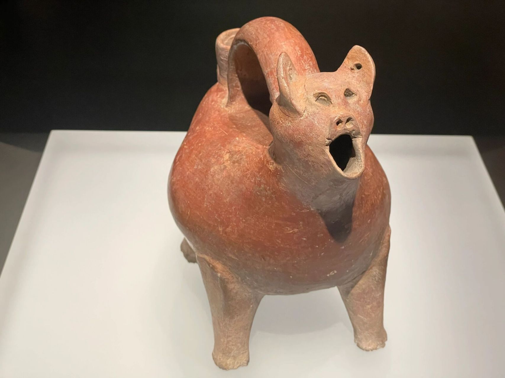 11566红陶兽形壶(6展厅) 新石器时代大汶口文化,酒器.