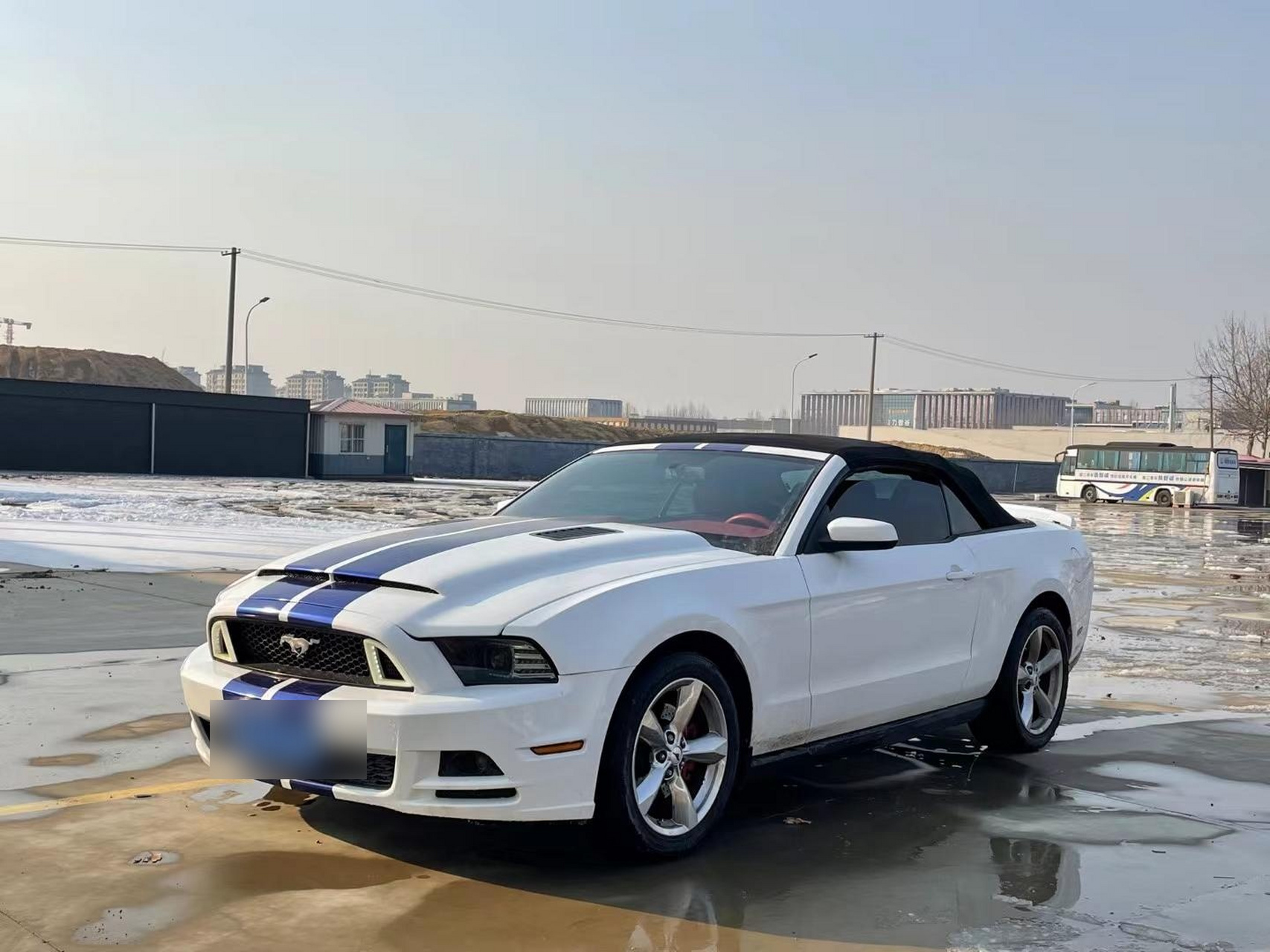 野马gt500眼镜蛇报价图片