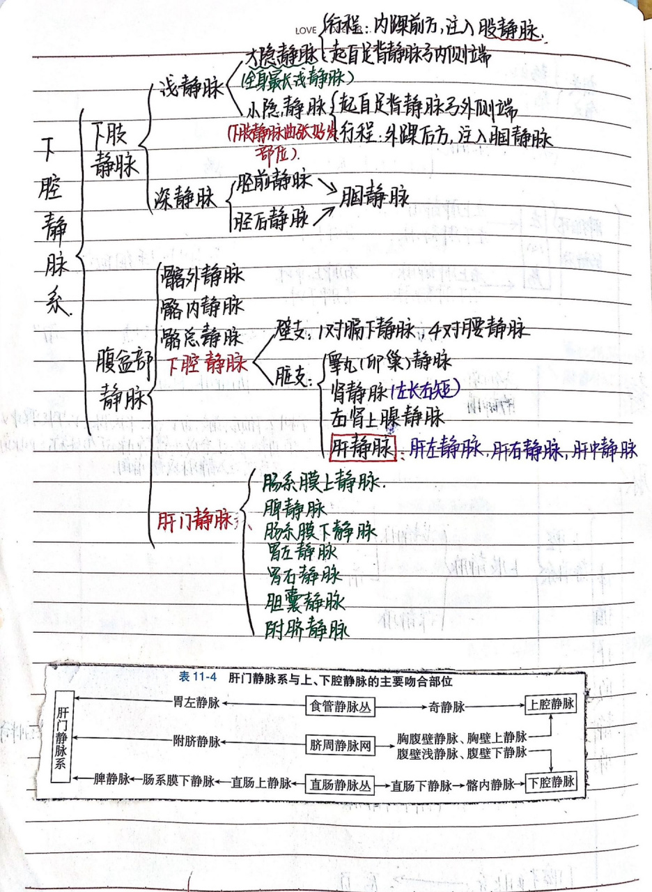 静脉输液思维导图图片