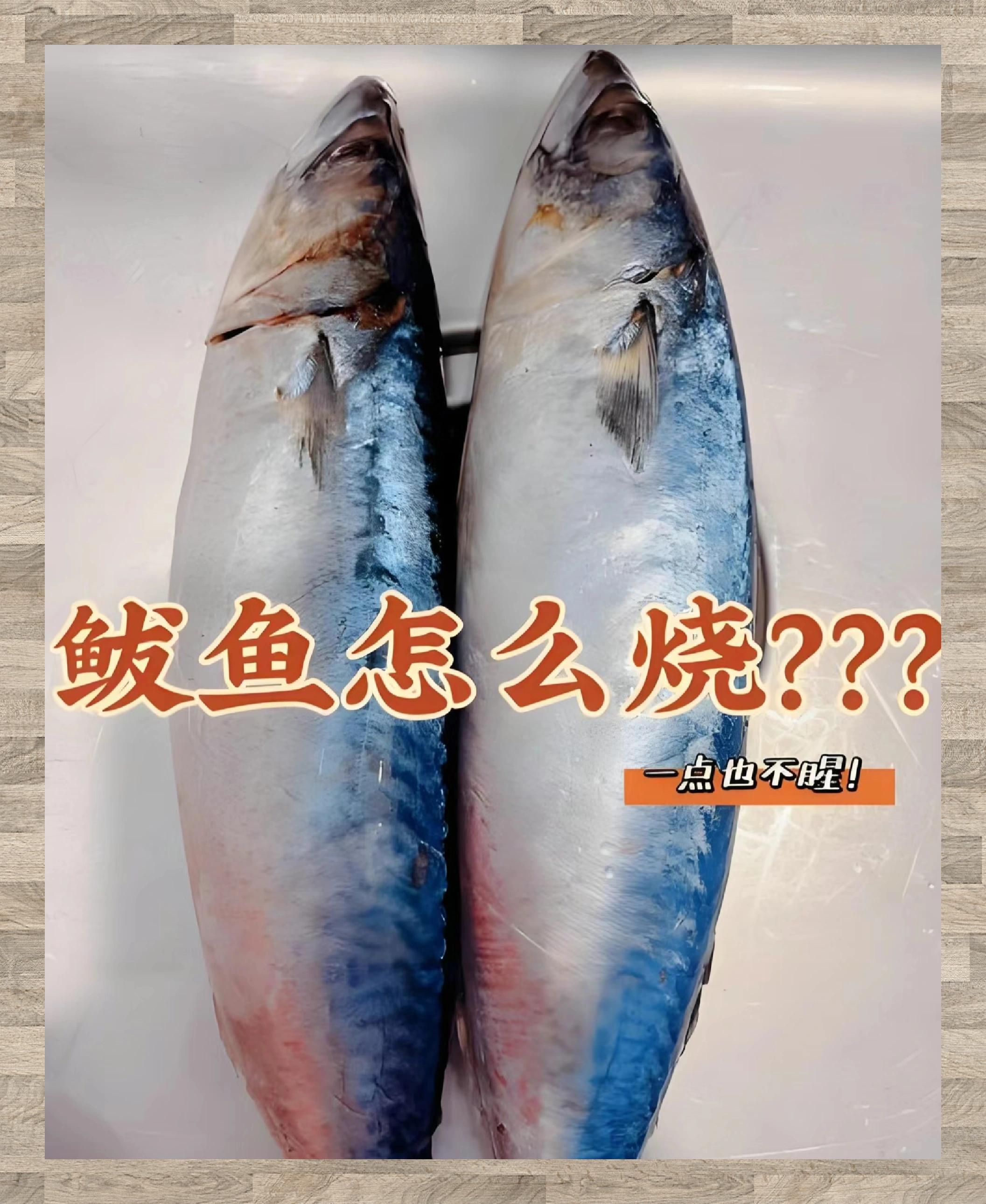 海鲜控们,准备好你的味蕾,今天要给大家带来的是——🎉【鲅鱼马鲛鱼