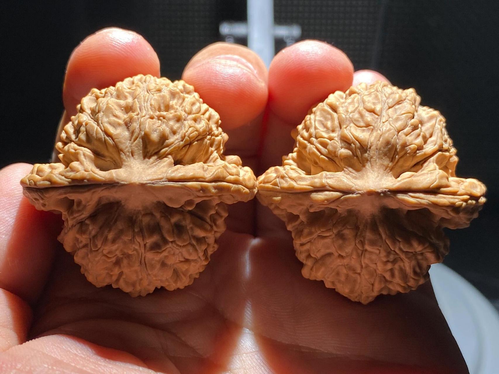 手汗大玩什么核桃不走酱717515 霞云岭狮子头也是一款以产地