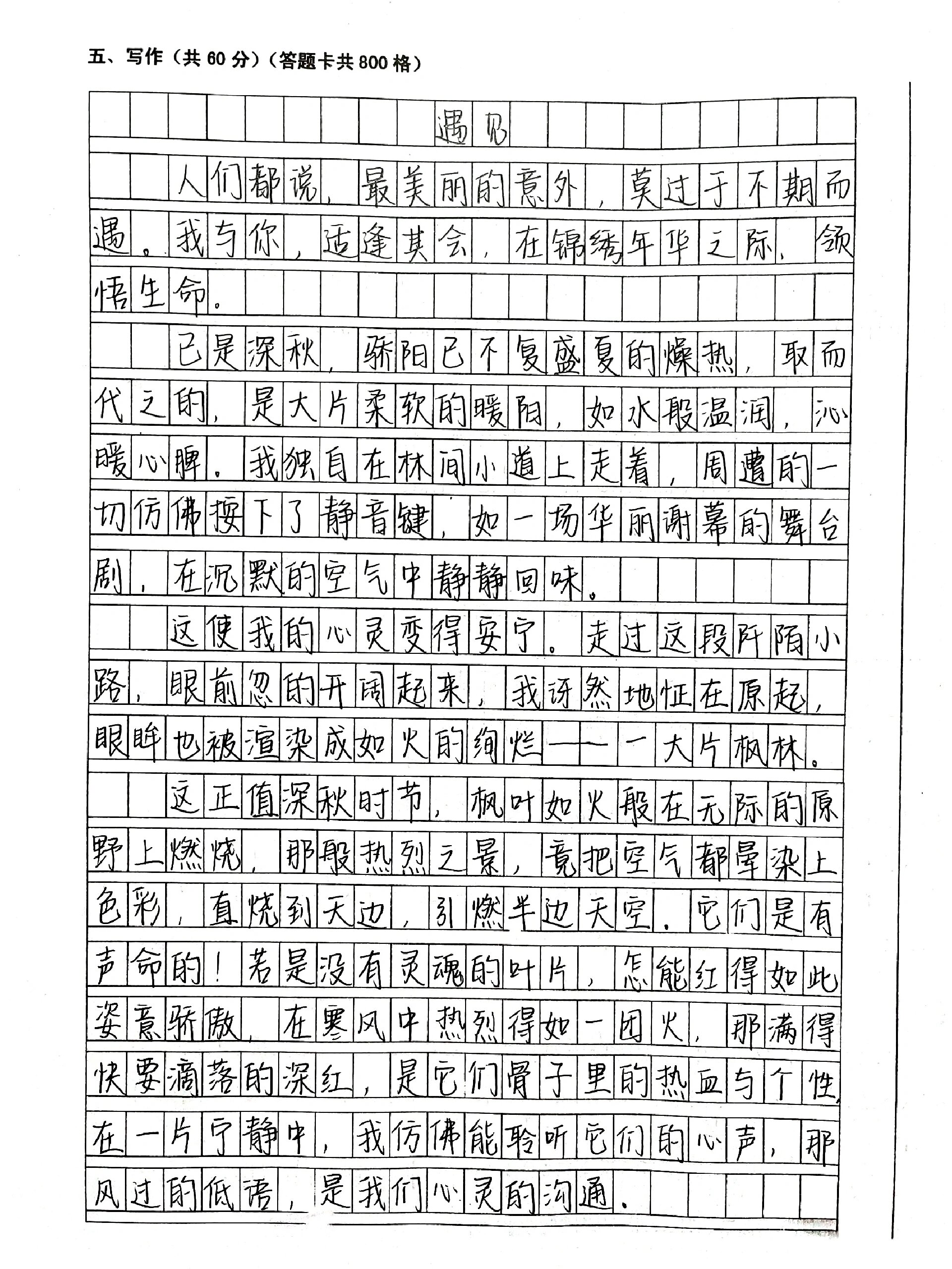 作文抄写