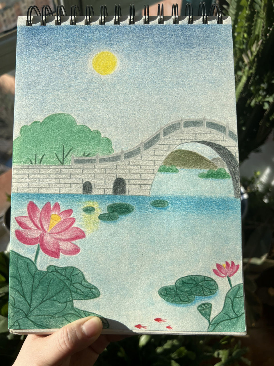 荷塘月色(彩铅画.