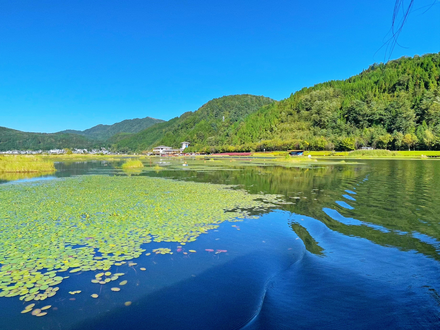 水上草原/北海湿地公园·腾冲 腾冲北海湿地又称草排湿地,我国西南