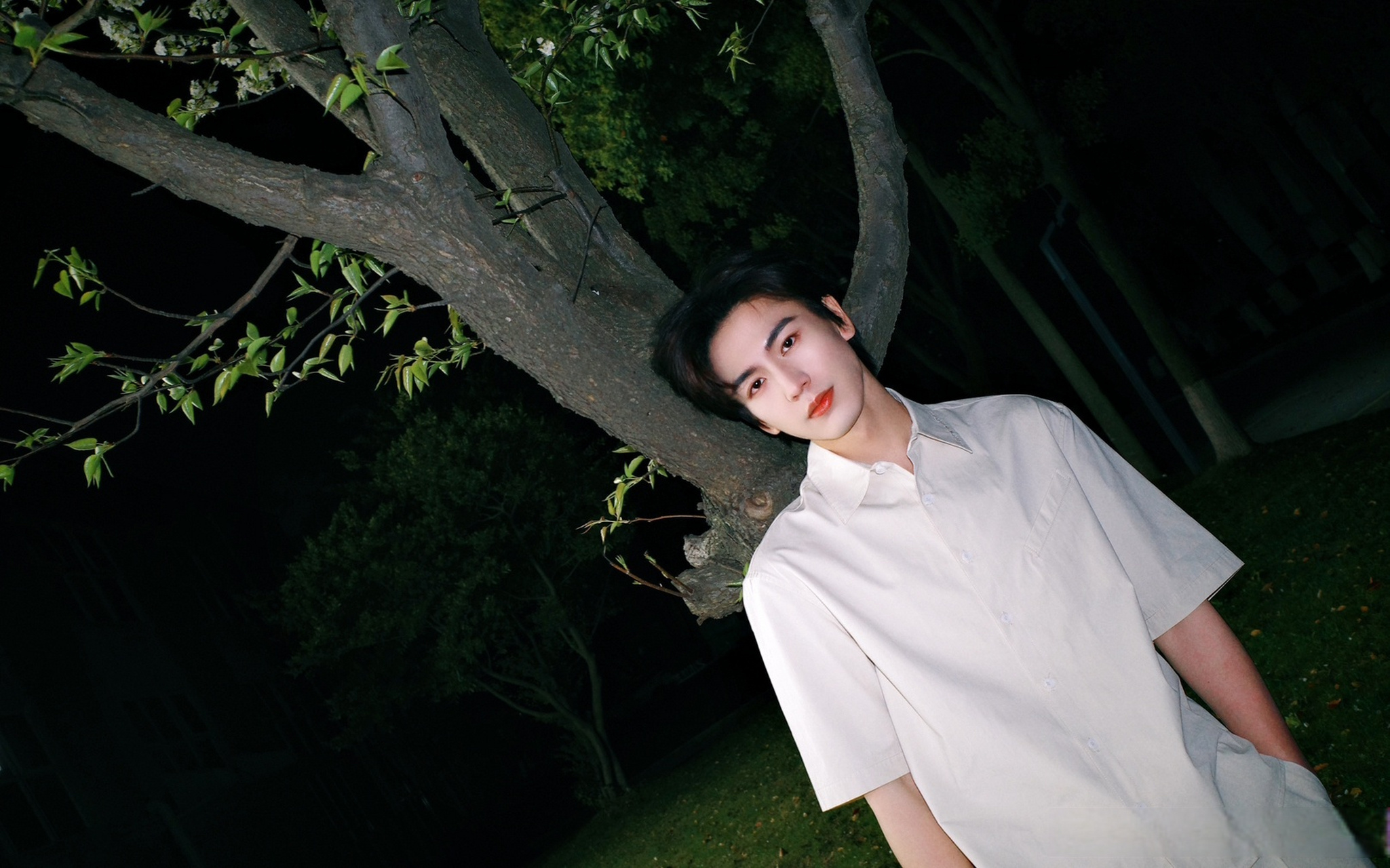 真的很难拒绝穿白衬衫的大帅哥们呀 #肖战##杨洋##王源##王俊凯