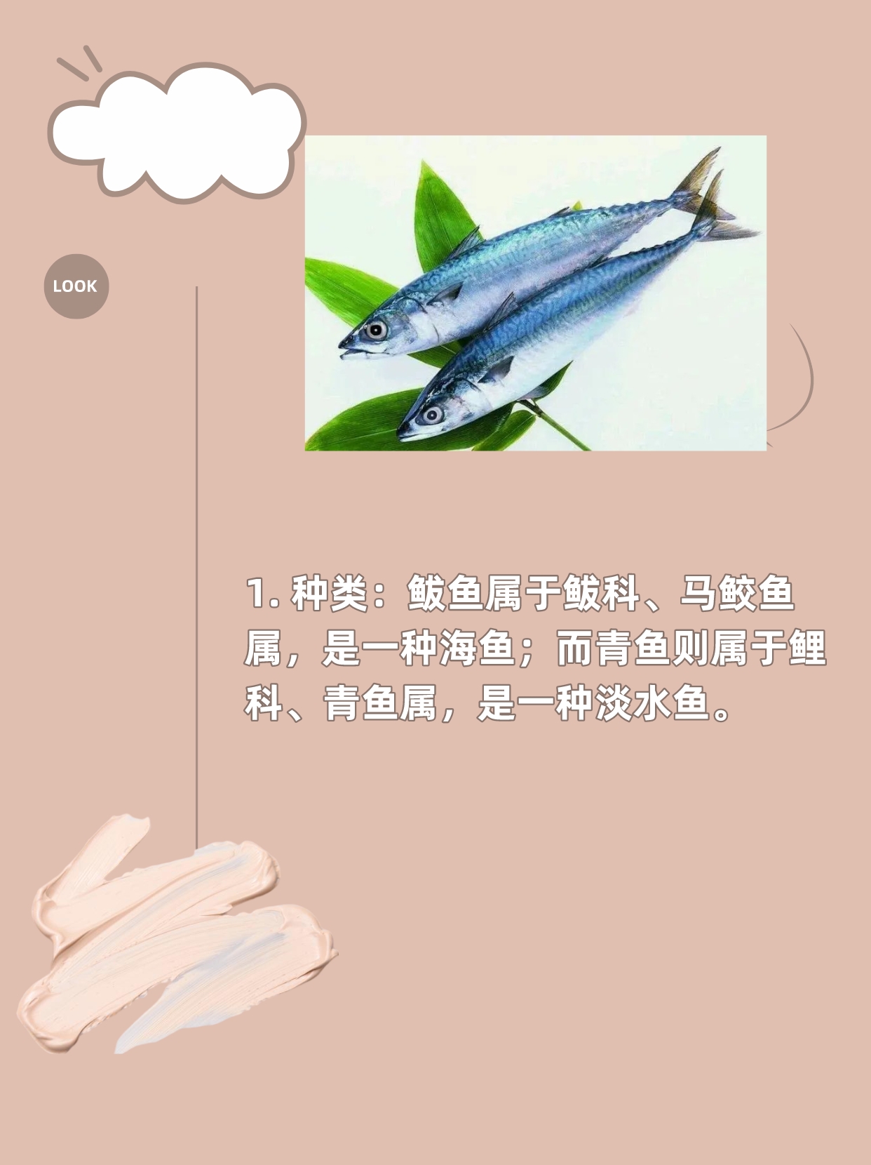 种类:鲅鱼属于鲅科,马鲛鱼属,是一种海鱼;而青鱼则属于鲤科,青鱼属