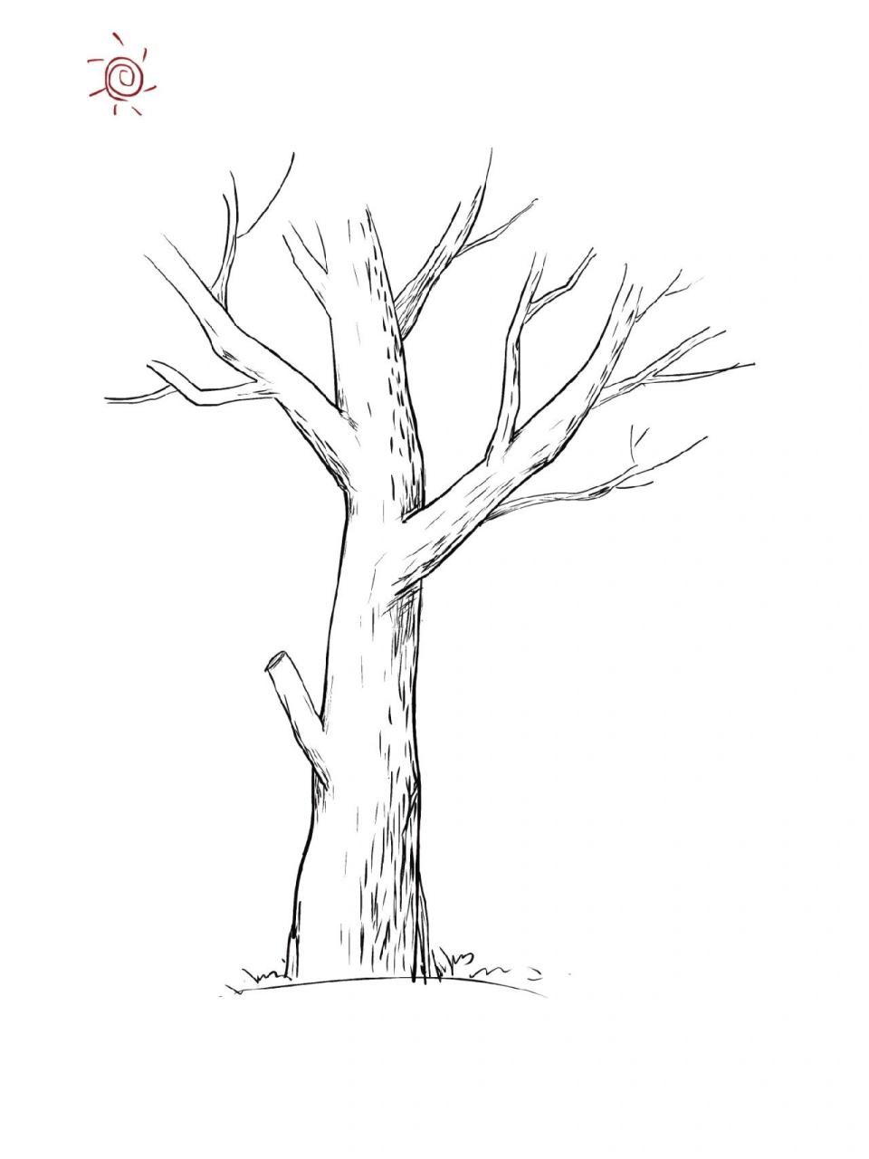 第一步,画树干.