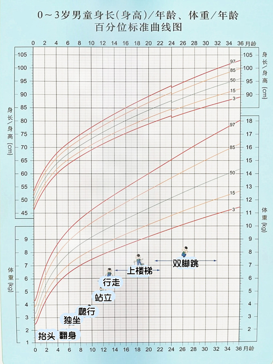 女宝宝身高体重曲线图图片