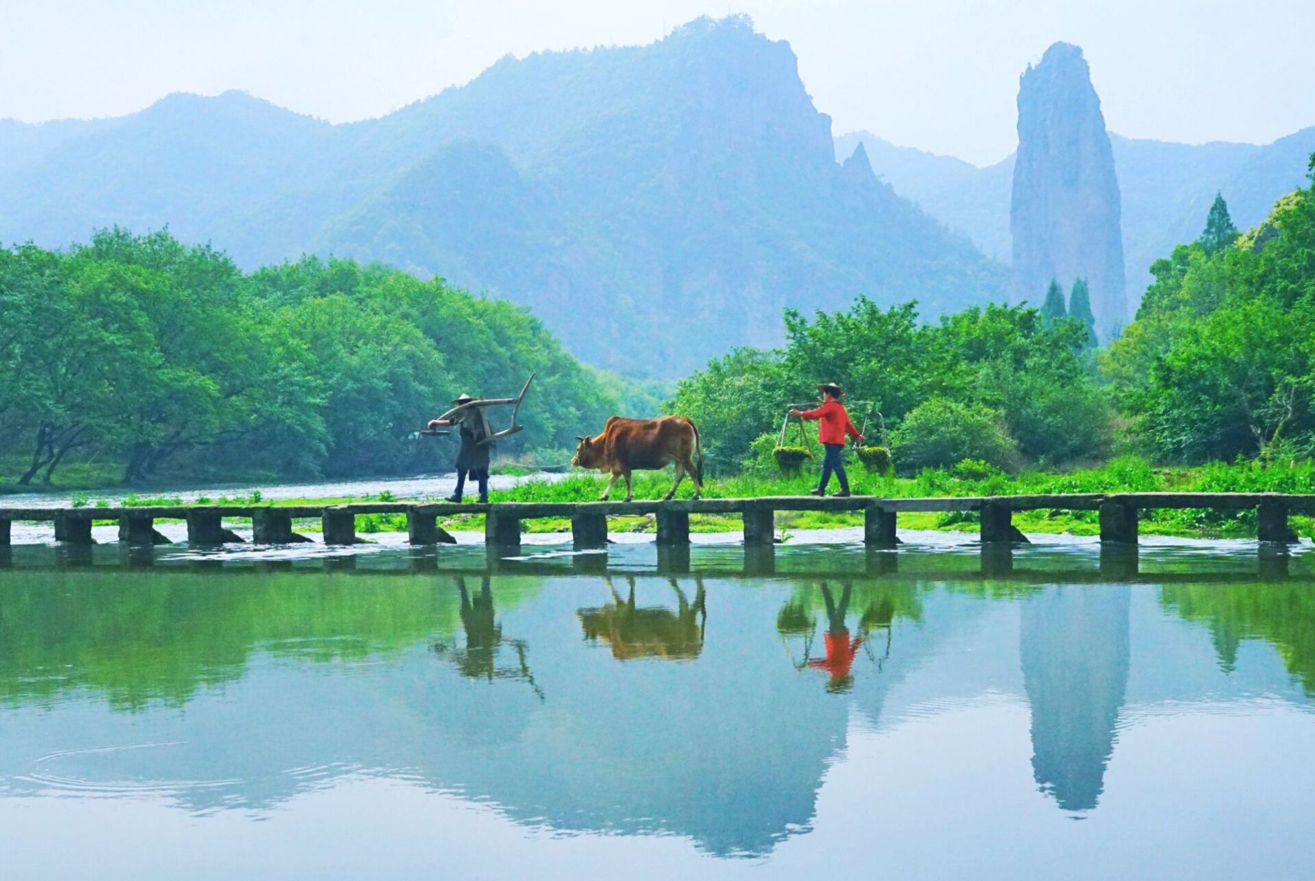 缙云仙都朱潭山—老农牧牛山水间    朱潭山仅有老农牧牛一个"人造"
