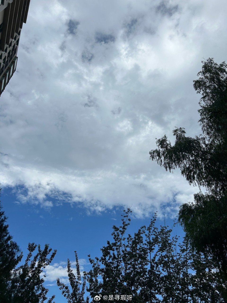 我拉住时间,它却不理会 风停了又吹,天亮了又黑 孙燕姿《同类》  qq