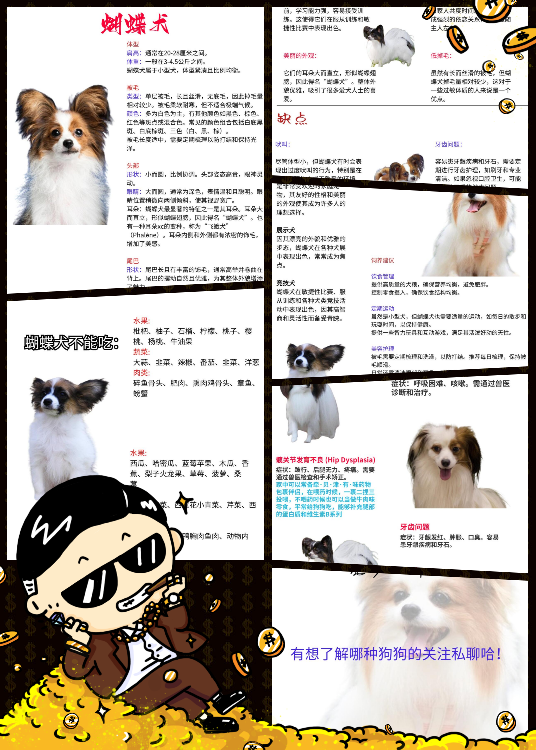 今天,就让我们深入了解蝴蝶犬的养护秘籍,从饮食到健康,从美容到训练