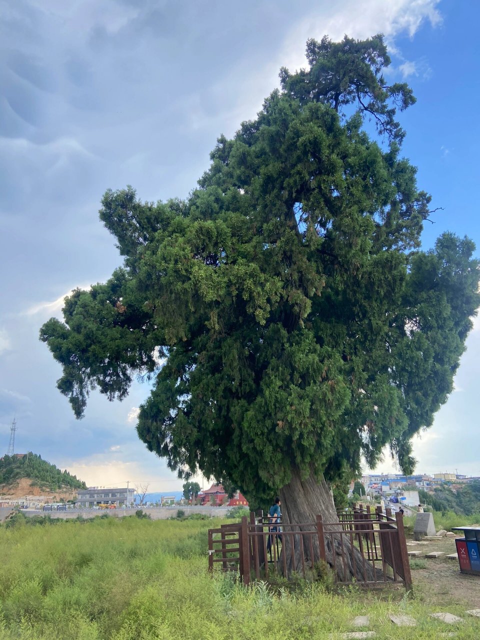 临县半日游 正觉寺十二连城 带家人附近转转 空气清新 千年古柏巍然