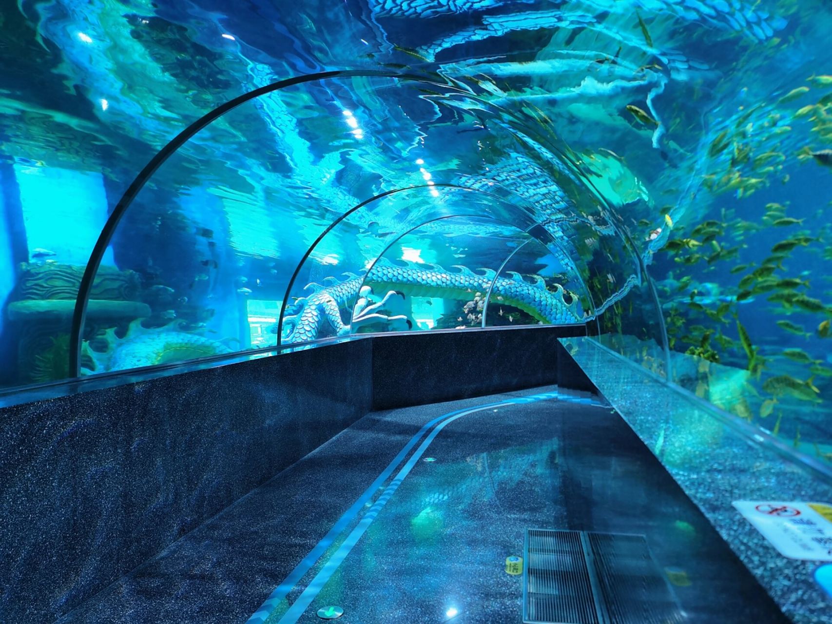 厦门最大的海底世界95 厦门岛内最大的海底世界 95中鱼视界·海洋