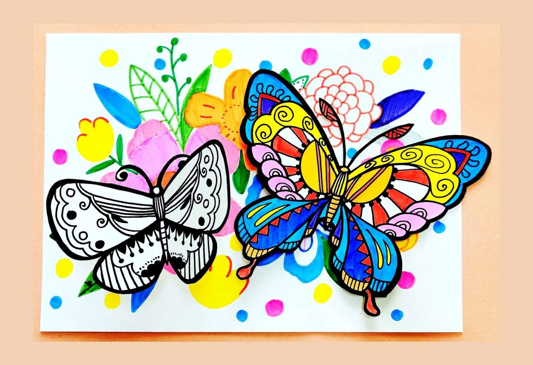 线描   ▏蝴蝶03  5.6.7.