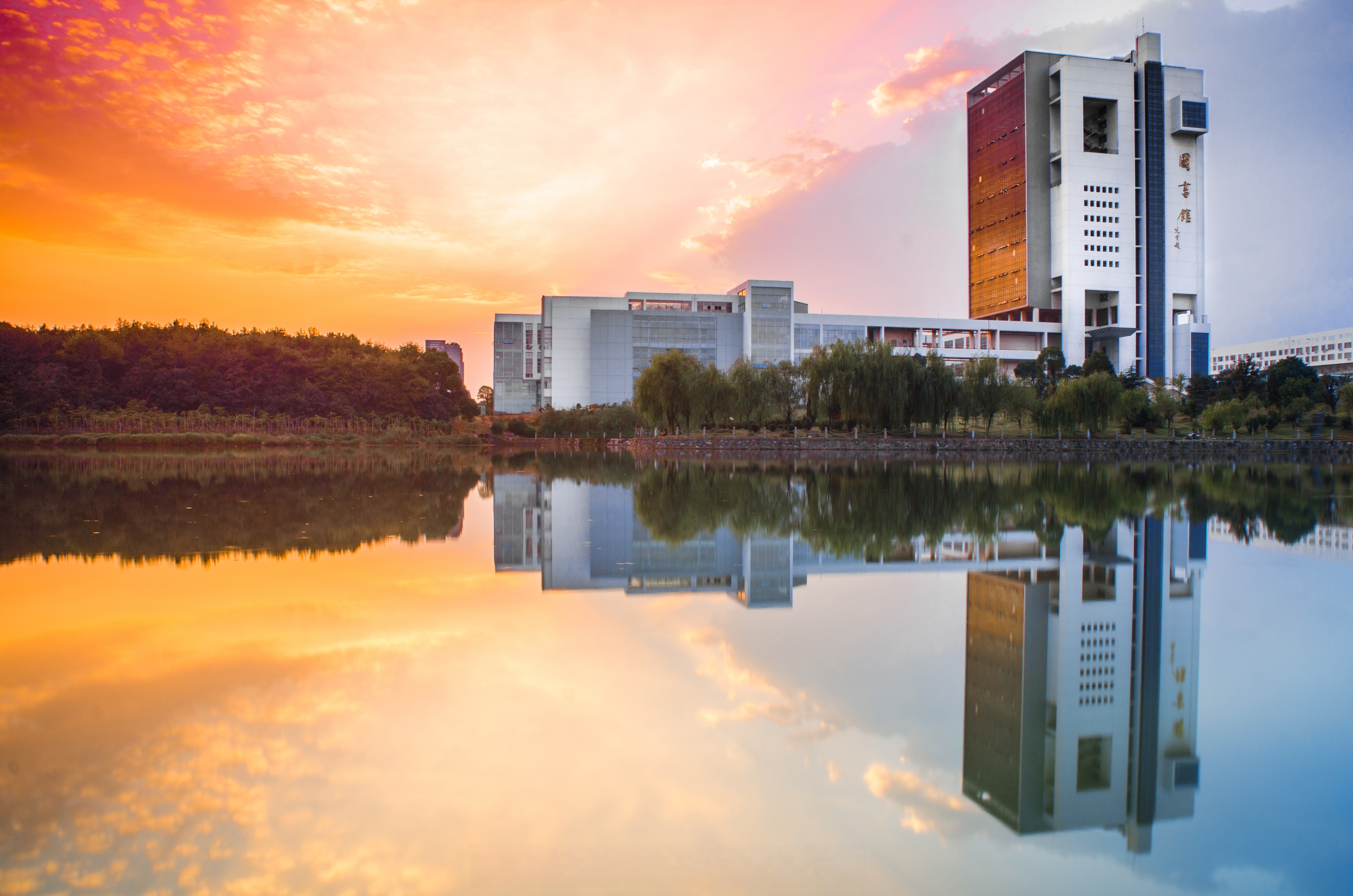 学宫依赣水,渊远自流长. 华载百又二,根深累实光