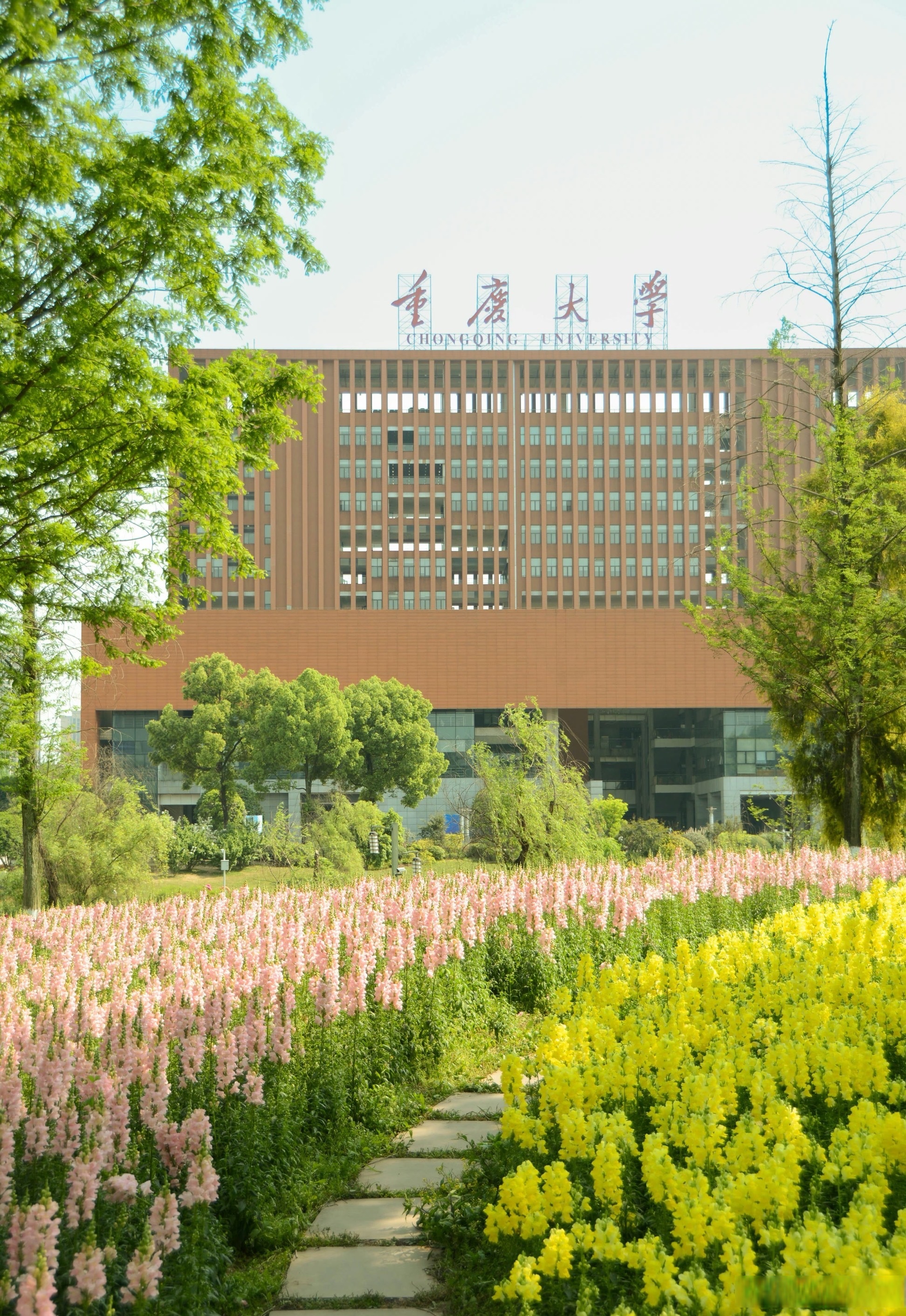 重庆大学超话#小薇分享台#