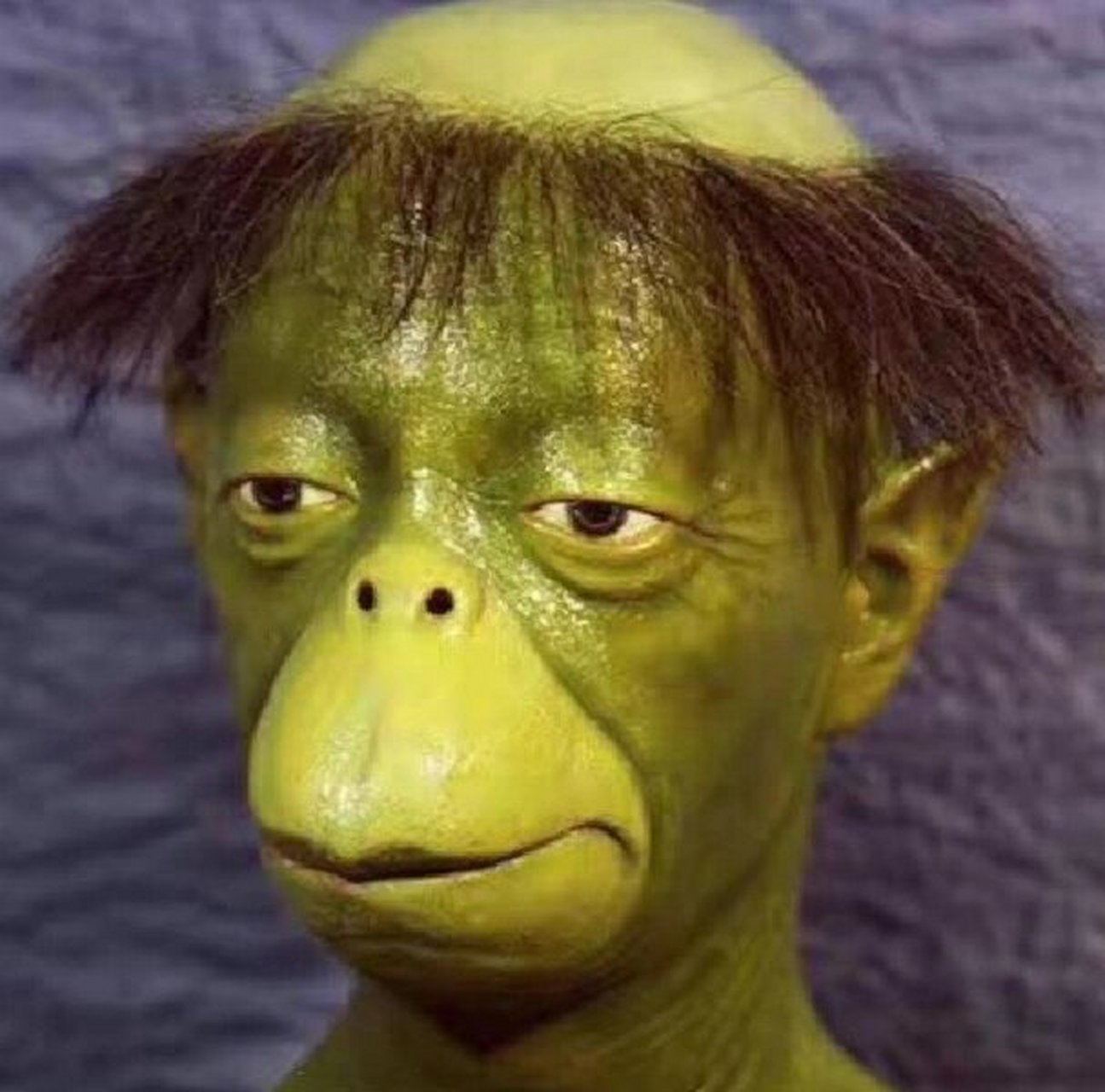 虽然但是陈宇宙病重之后好像河童表情包 真的 好像