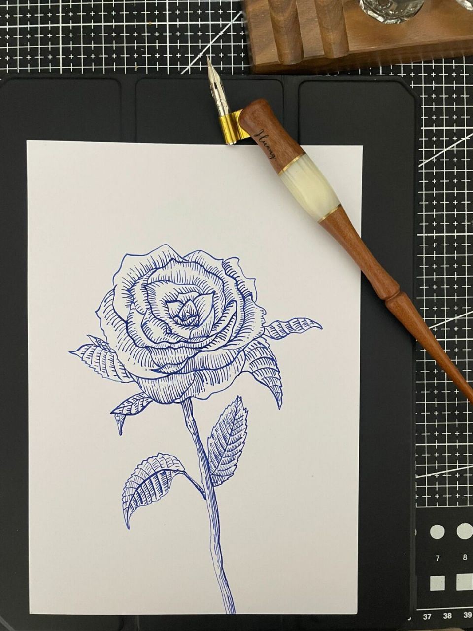 玫瑰|钢笔画 "哪朵玫瑰没有荆棘 最好的报复是美丽" 发了视频忘记发