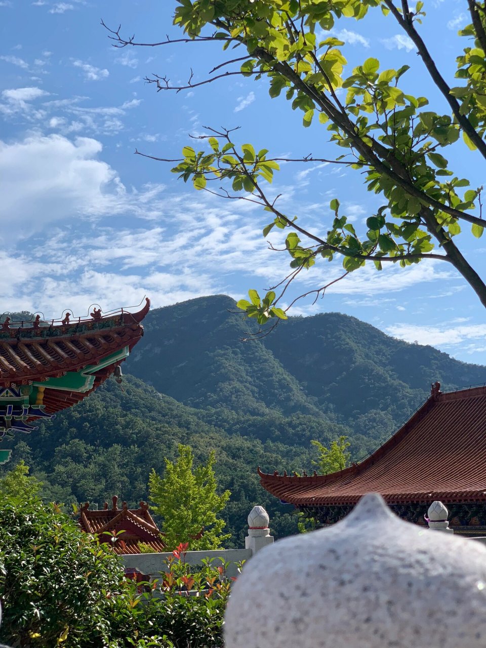 威海土著里口山一日游|9月去山里走走 09先去广福寺拜大佛顺便吃个