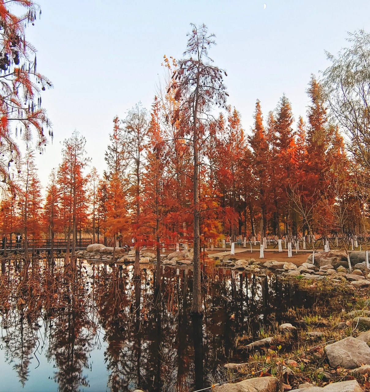 就在鱼鸟河公园!