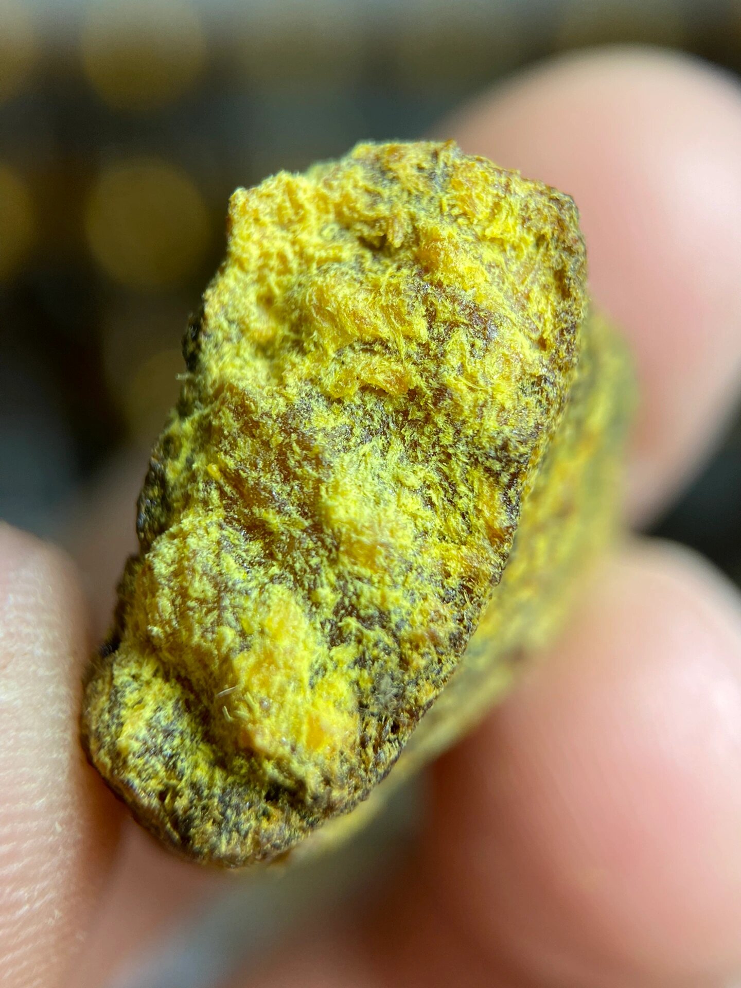 贡木沉香结晶体 高端货,机缘巧合之下寻得一根印贡沉香油脂结晶料