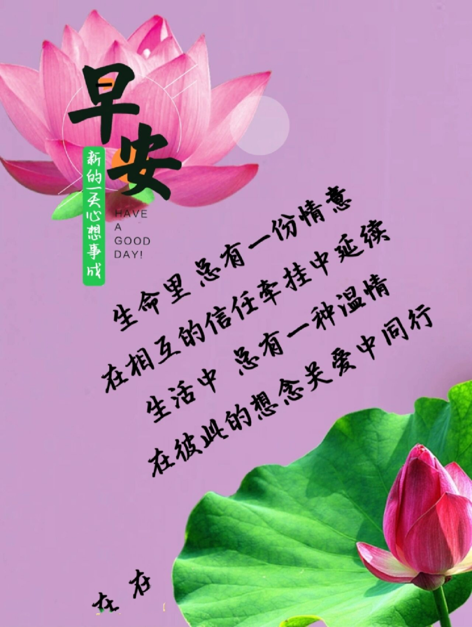 早安问候图. 生命里,总有一份情意,在相互的信任牵挂中延续.