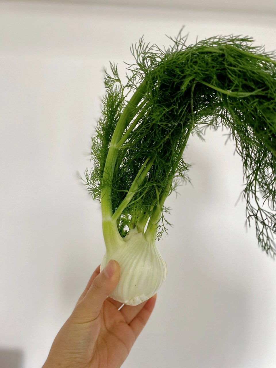 茴香根苹果沙拉01 在上随意刷到一个果汁配方,是苹果 球茎茴香,于是