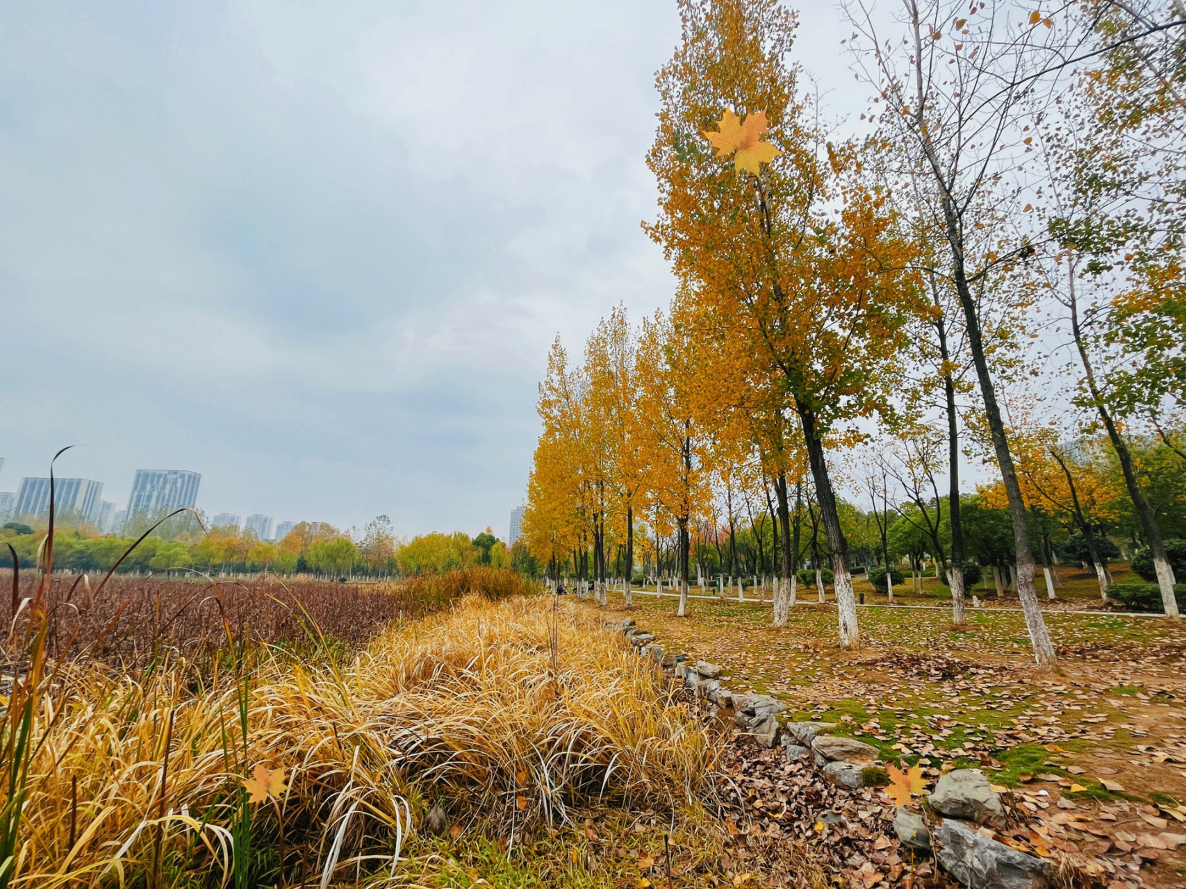 合肥遛娃好去处——陶冲湖公园 公园很大,水域面积也很大,免费停车