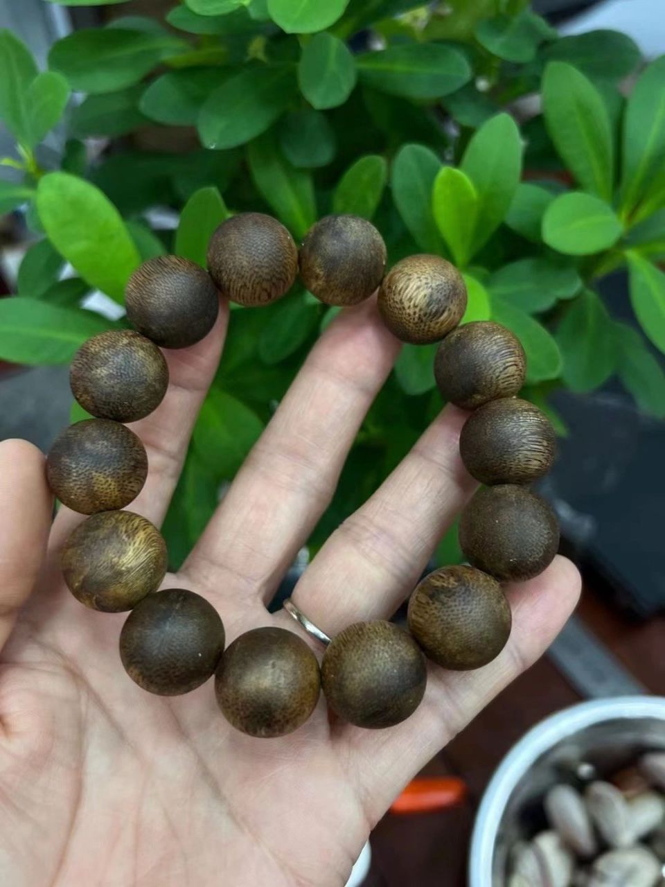 海南莺歌绿奇霸道的香气,好闻又好看 收藏品:海南莺歌绿棋沉香沉水