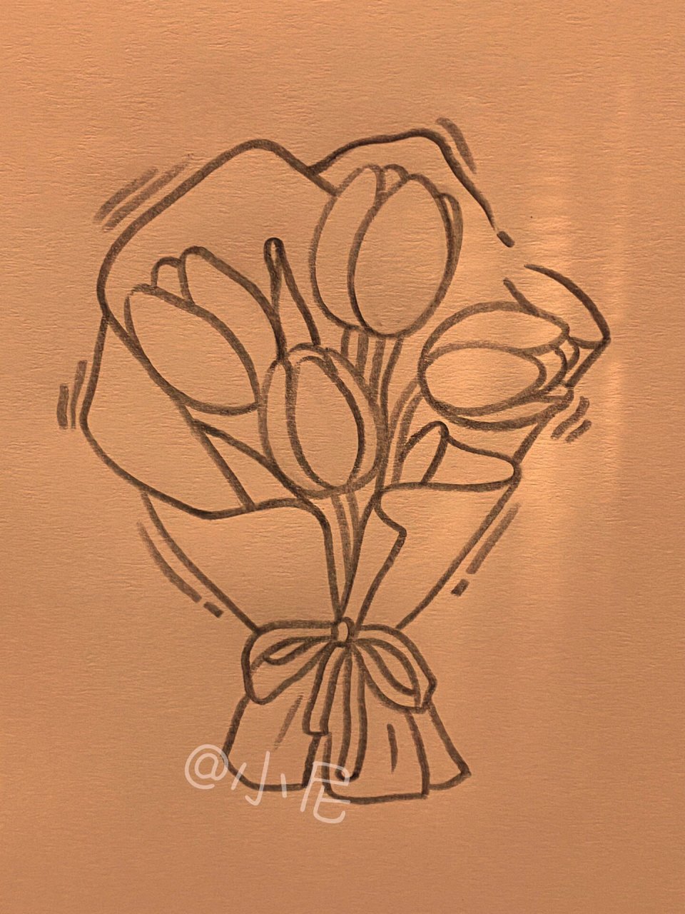 教你画郁金香 郁金香绘画教程