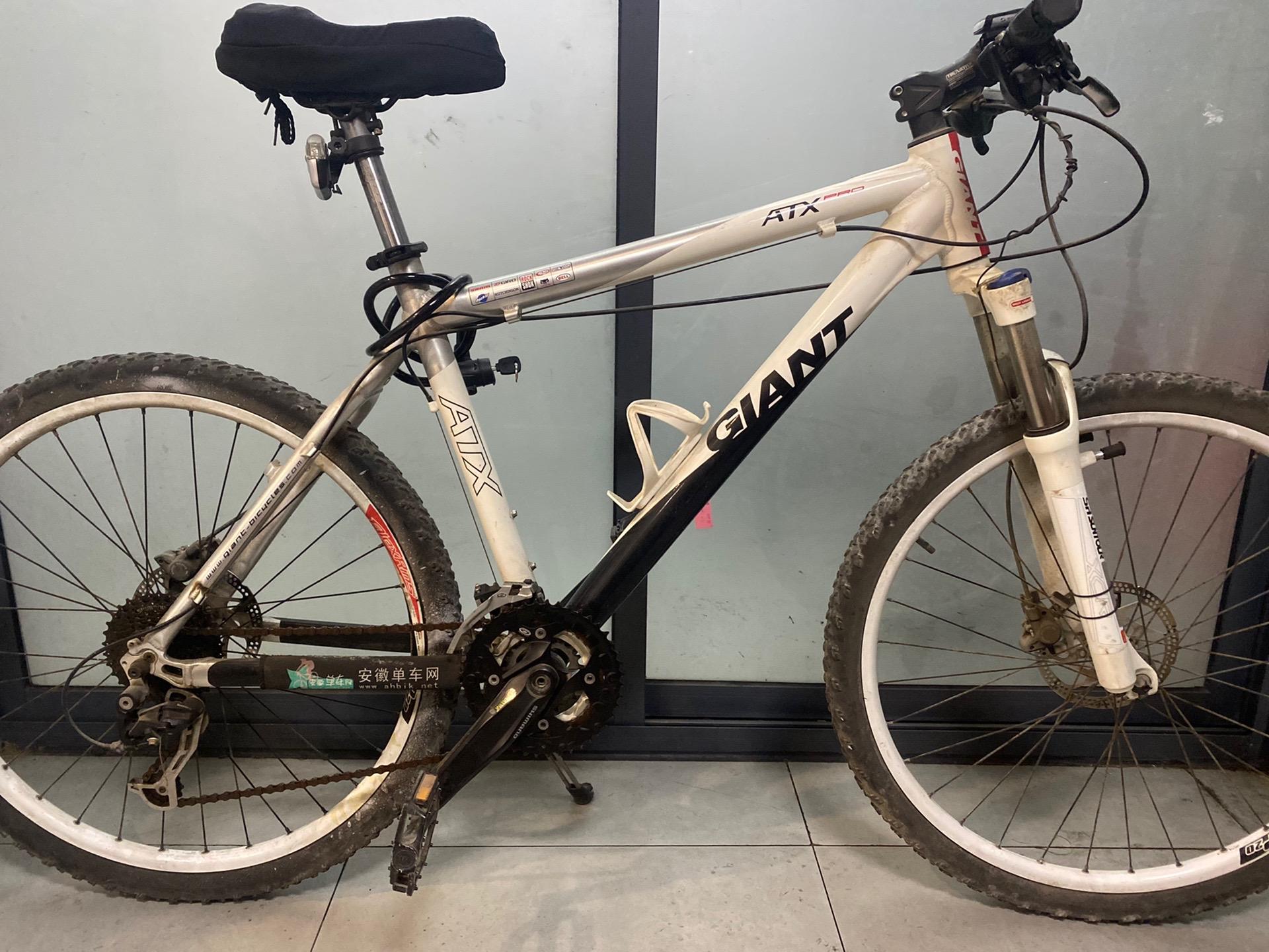 维护保养10年前我组装的捷安特pro.