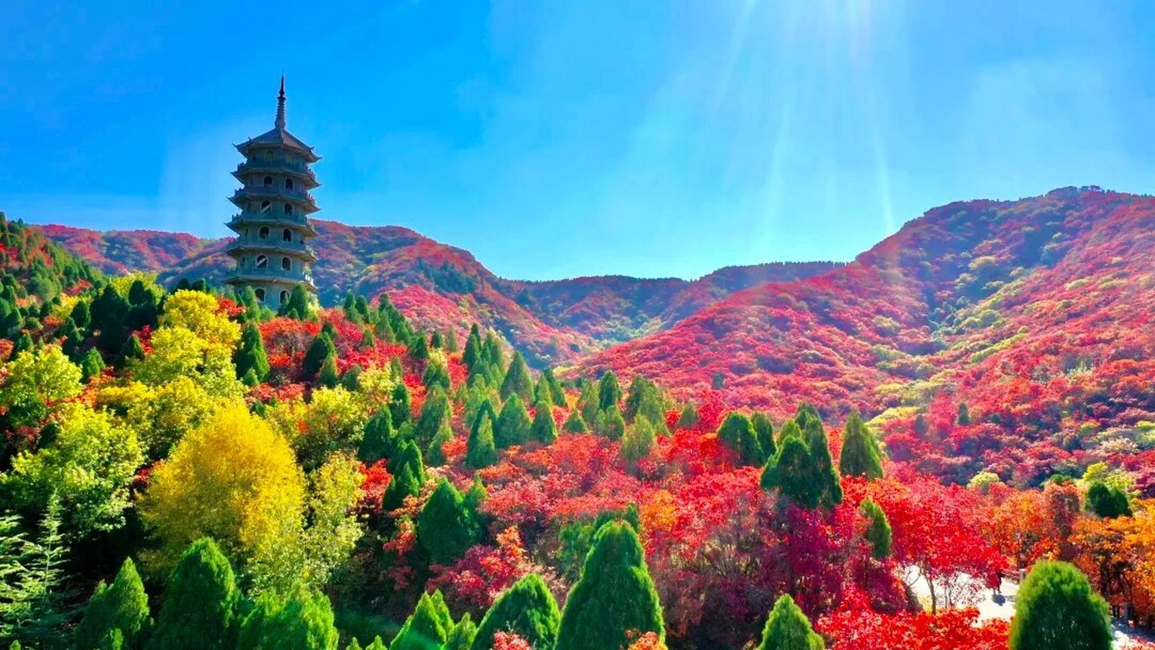 济南红叶谷游玩攻略 景区门票政策: 6周岁(含6周岁)以下或身高1.