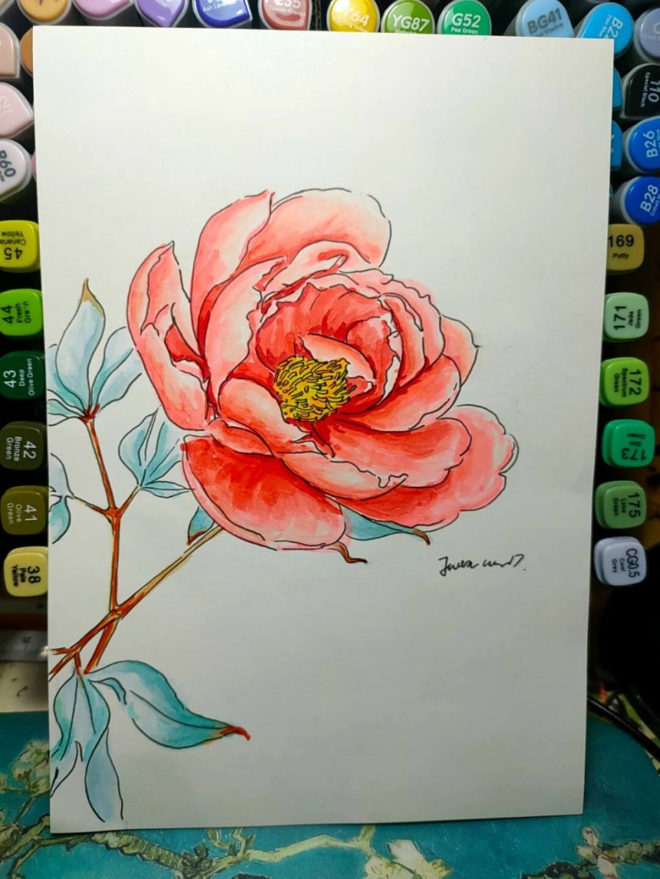 马克笔花卉系列《芍药》上色 #芍药# #马克笔教程# #马克笔手绘