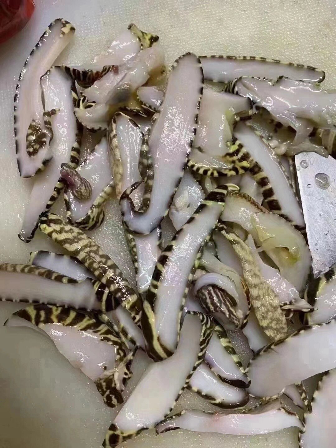 椰子螺