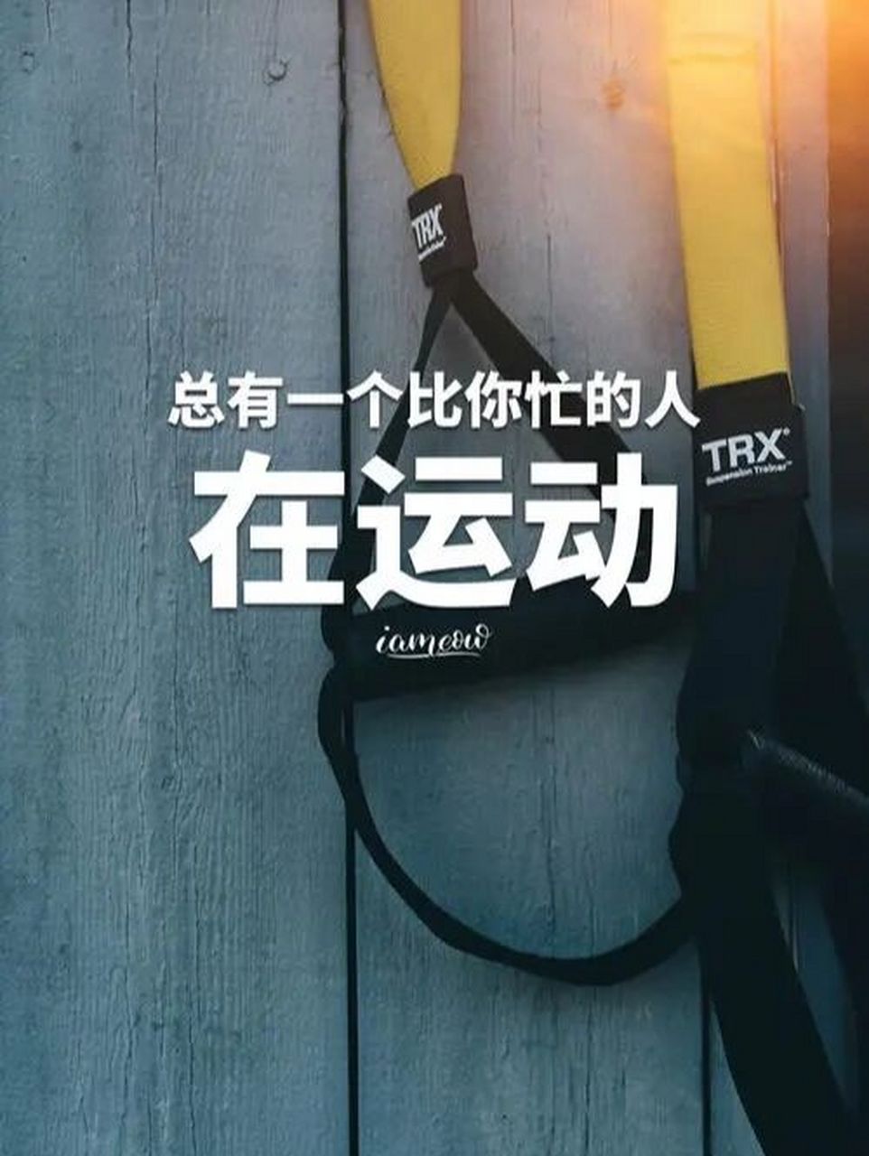 健身励志语录 5 "我过去的兴趣一直在如何保持完美的身体比例上.