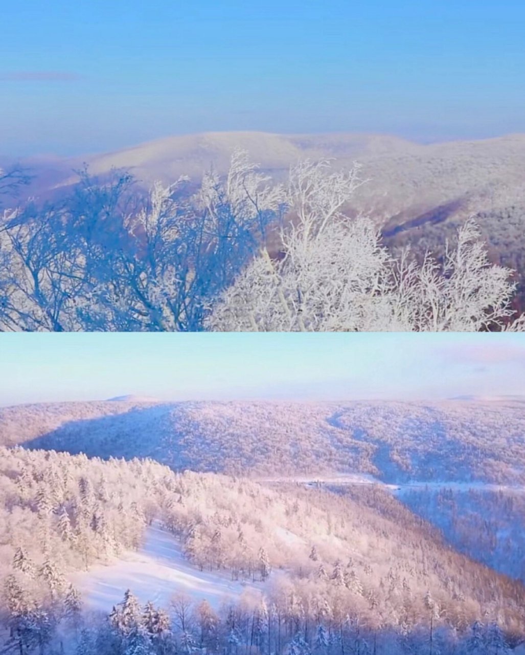 中国最美雪乡-狗熊岭冬天和喜欢的人看雪吧 黑龙江雪乡国际森林公园