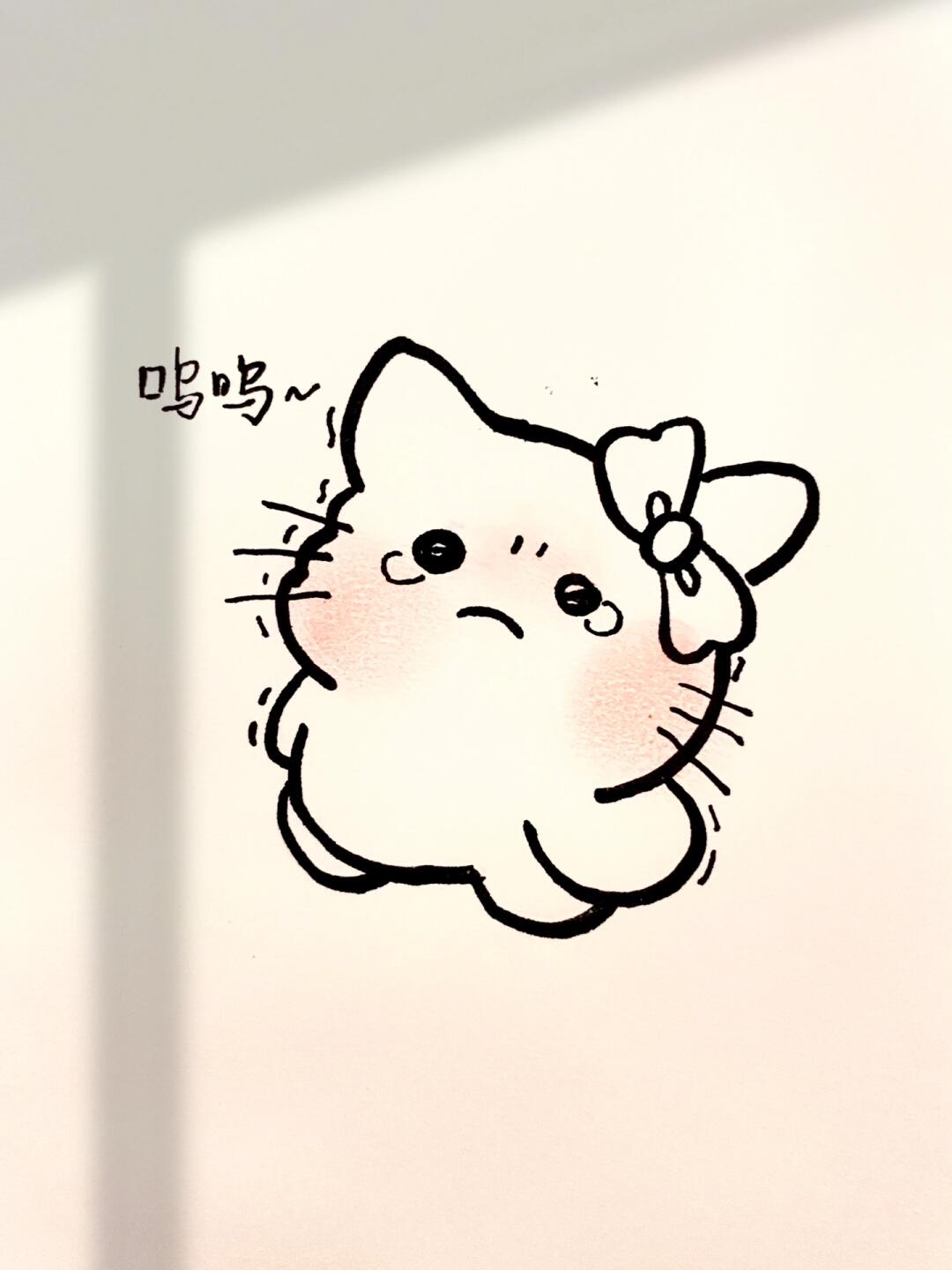 🐱no.22零基础简笔画教程