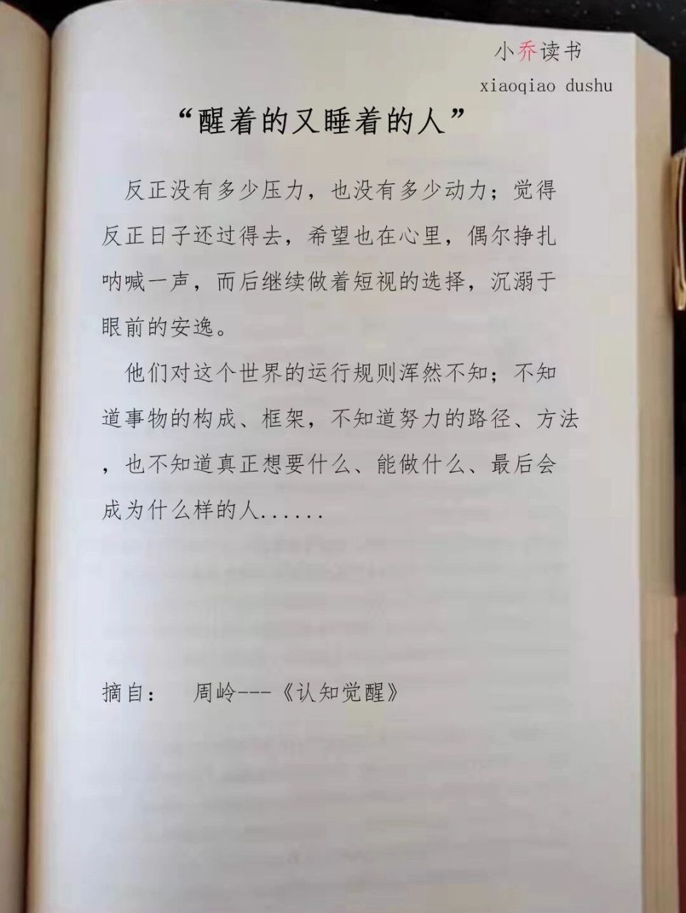97这就是"醒着的睡着的人"的画像,事实上也是我曾经的画像.
