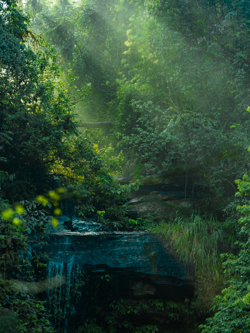 森林之光 91图一,图二,因为刚好是天气好的下午去的迎龙峡谷下面