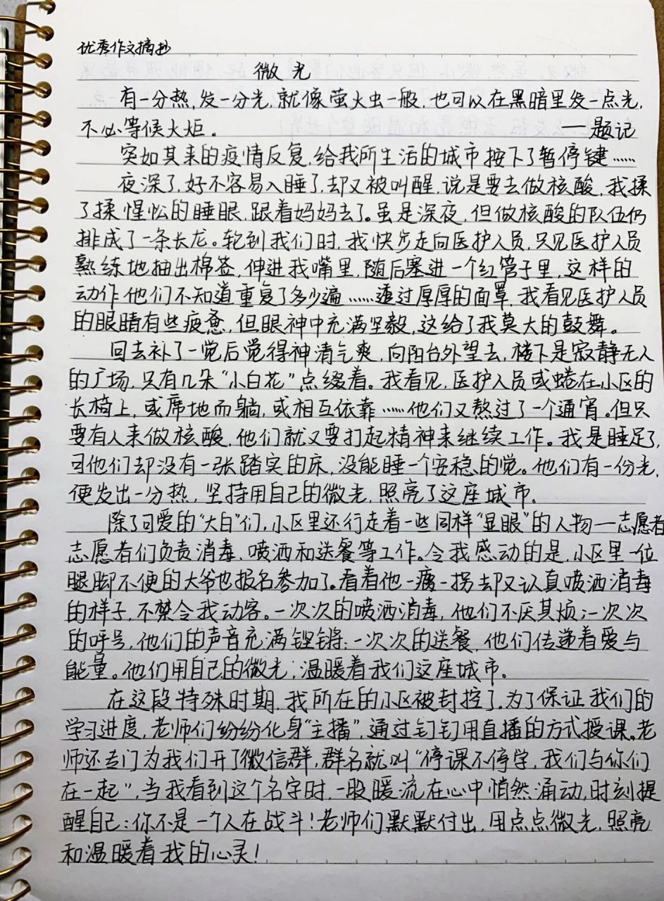 优秀作文《微光》 优秀作文《微光》有一分热,发一份光,就像萤火虫