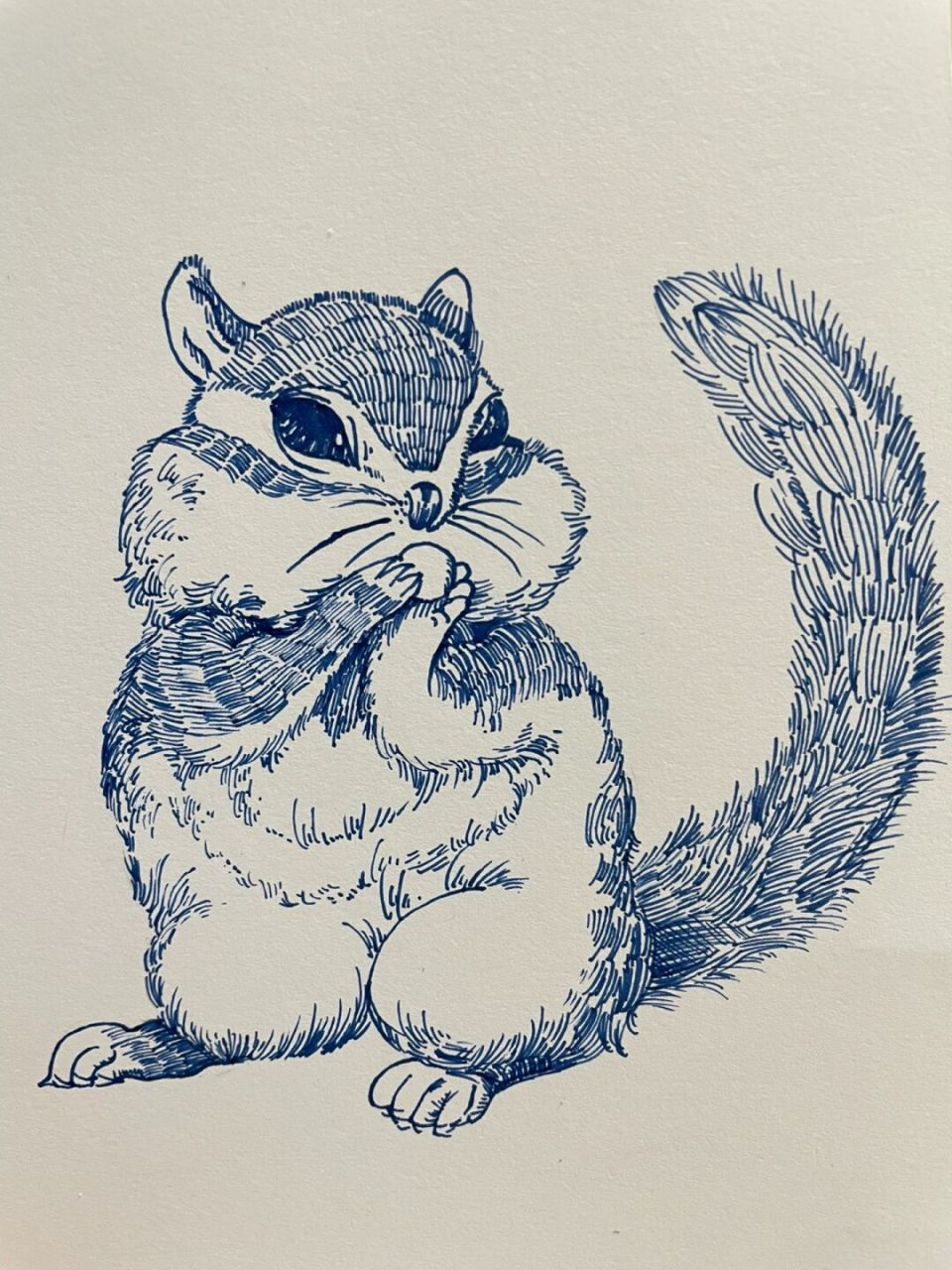 钢笔金灰鼠速写43/100 2022年的最后一天画一只金花