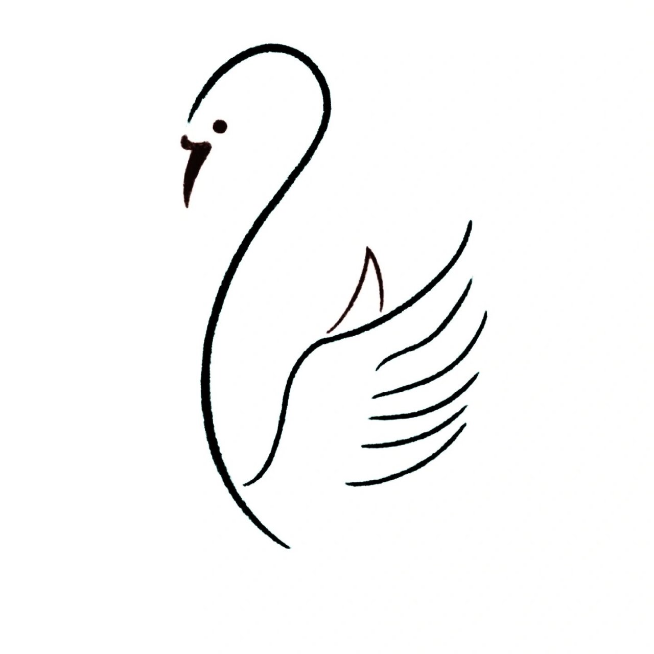 零基础简笔画教程|天鹅