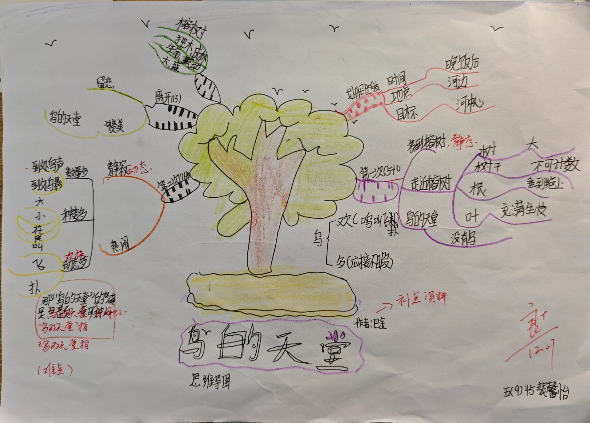 飞鸟集的思维导图图片