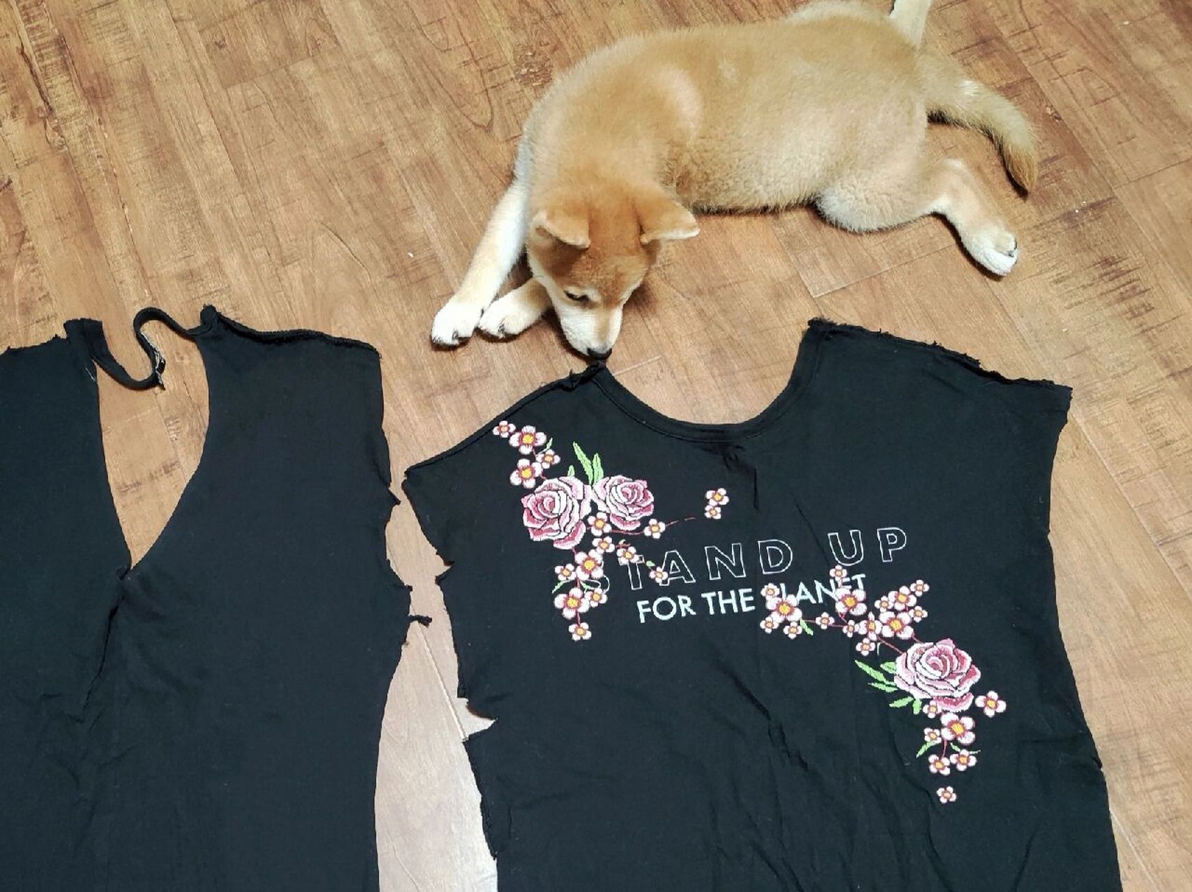 旧t恤改造宠物衣服 心血来潮的旧物改造第二弹,这次是旧t恤改宠物裙子