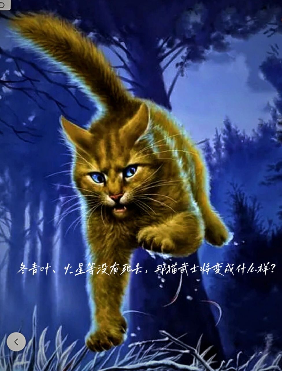 夜深了,在雷族营地中,基本所有的猫都已进入了梦乡.