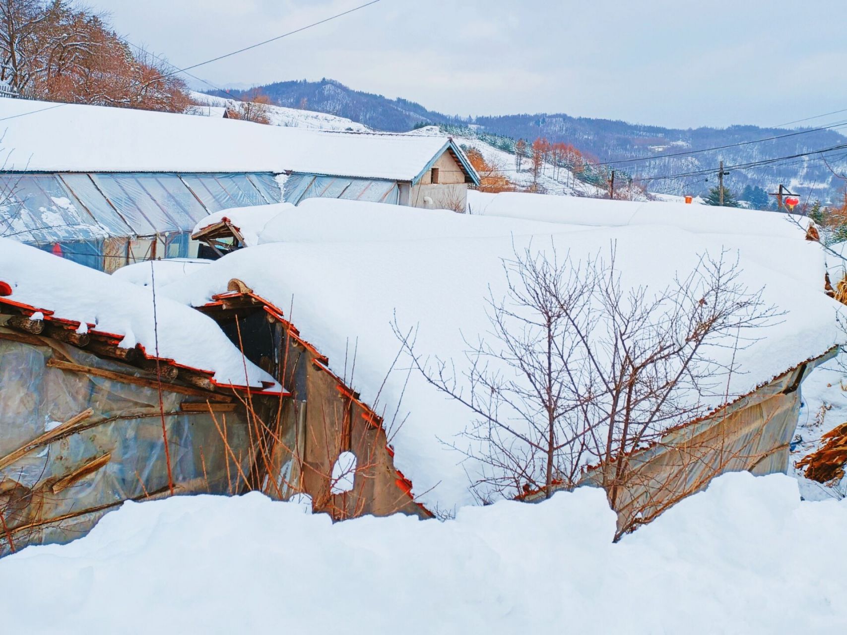 11月的松岭雪村:我在吉林遇到了水墨画 在吉林白山,有一处如世外桃源