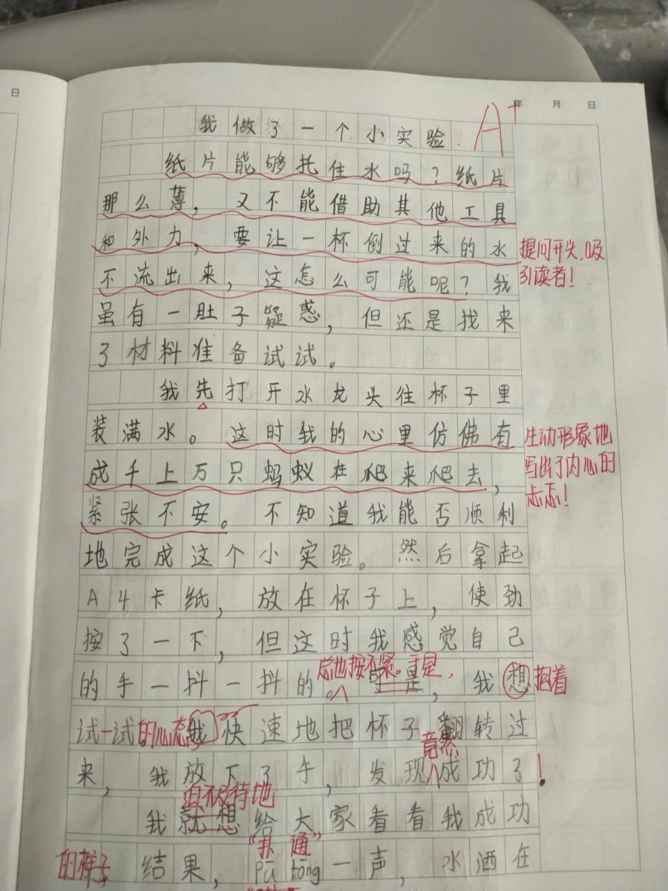 "纸片托水"实验成果 写作文其实就是让孩子们写出自己的所见所闻,所思